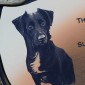 Garden or Graveside Pet Memorial Stone With Photo And Message