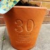 Birthday Flower Pot